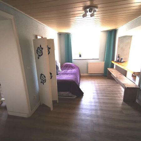 Mooi Ruim Appartement In Antieke Stadsboerderij Schönecken エクステリア 写真