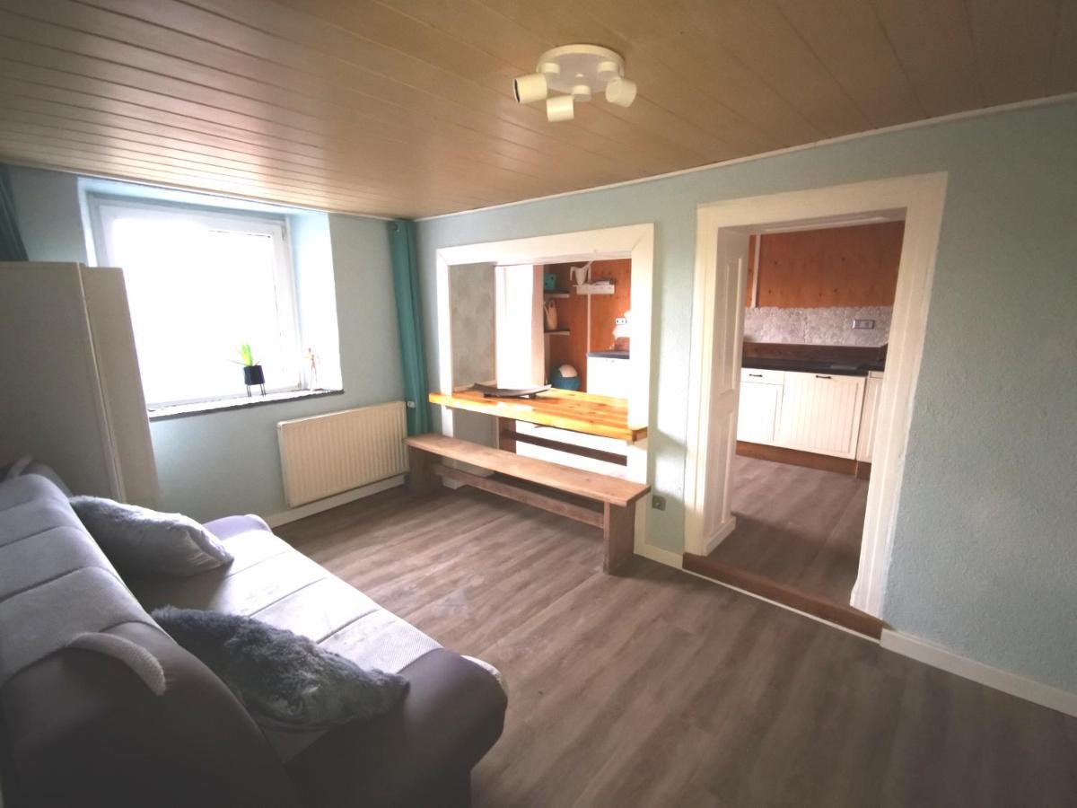Mooi Ruim Appartement In Antieke Stadsboerderij Schönecken エクステリア 写真