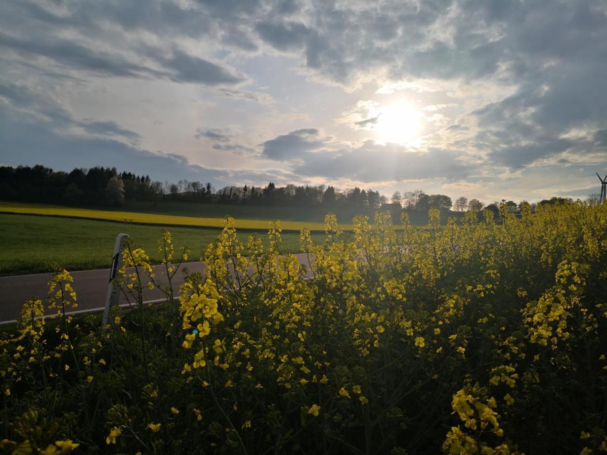 Mooi Ruim Appartement In Antieke Stadsboerderij Schönecken エクステリア 写真