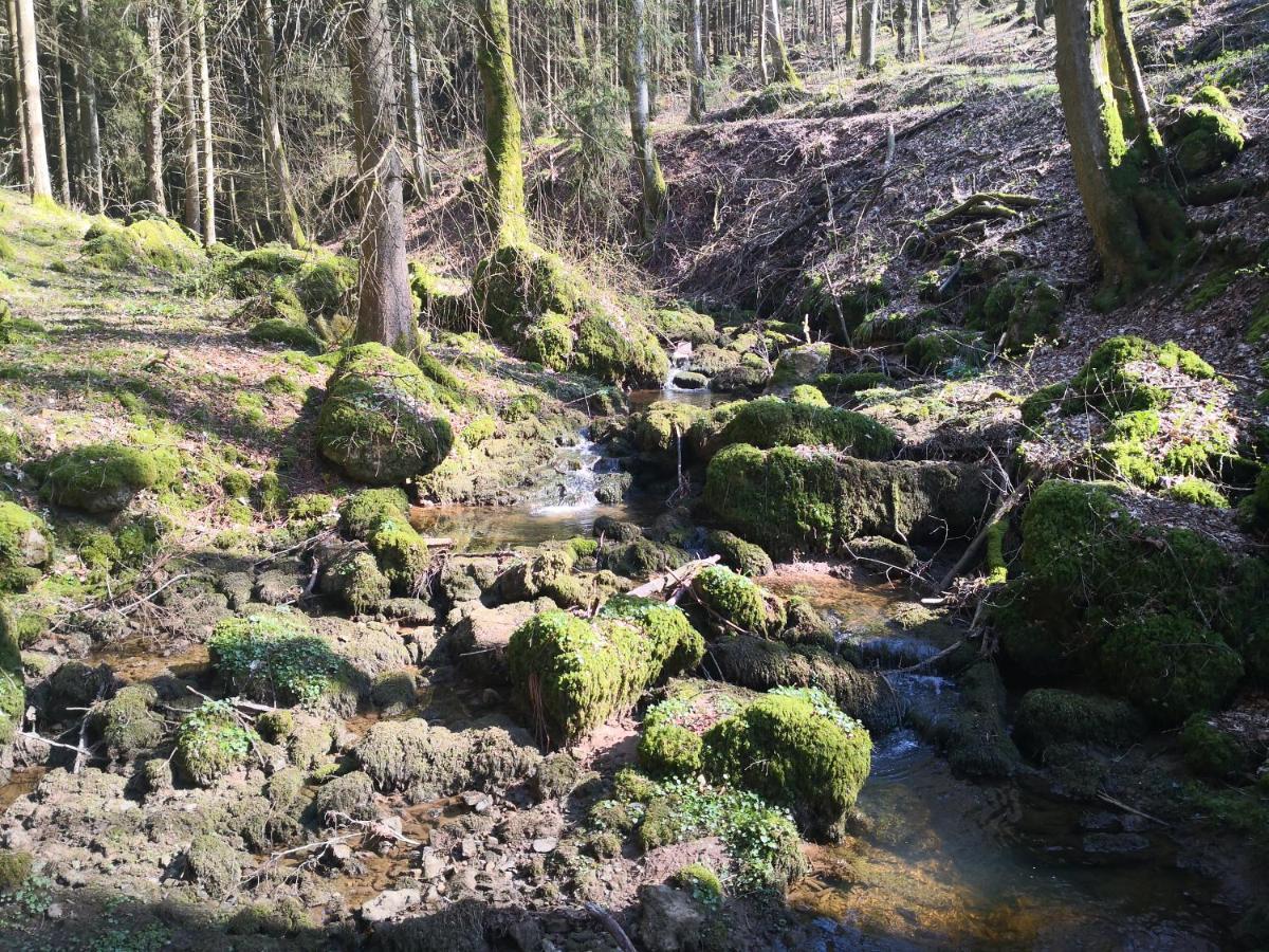 Mooi Ruim Appartement In Antieke Stadsboerderij Schönecken エクステリア 写真
