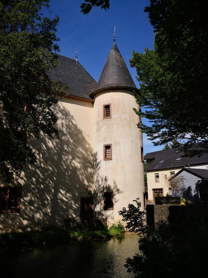 Mooi Ruim Appartement In Antieke Stadsboerderij Schönecken エクステリア 写真