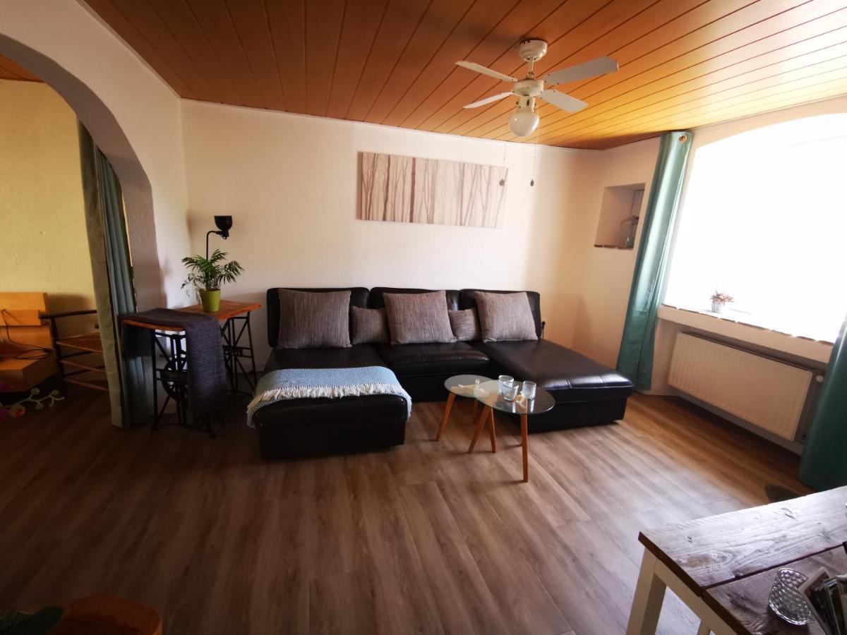 Mooi Ruim Appartement In Antieke Stadsboerderij Schönecken エクステリア 写真